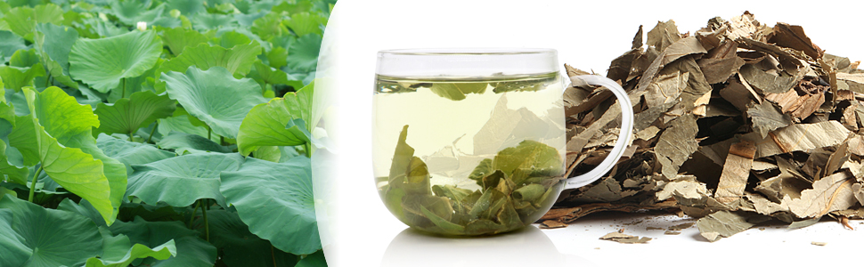 100% natural lotus leaf